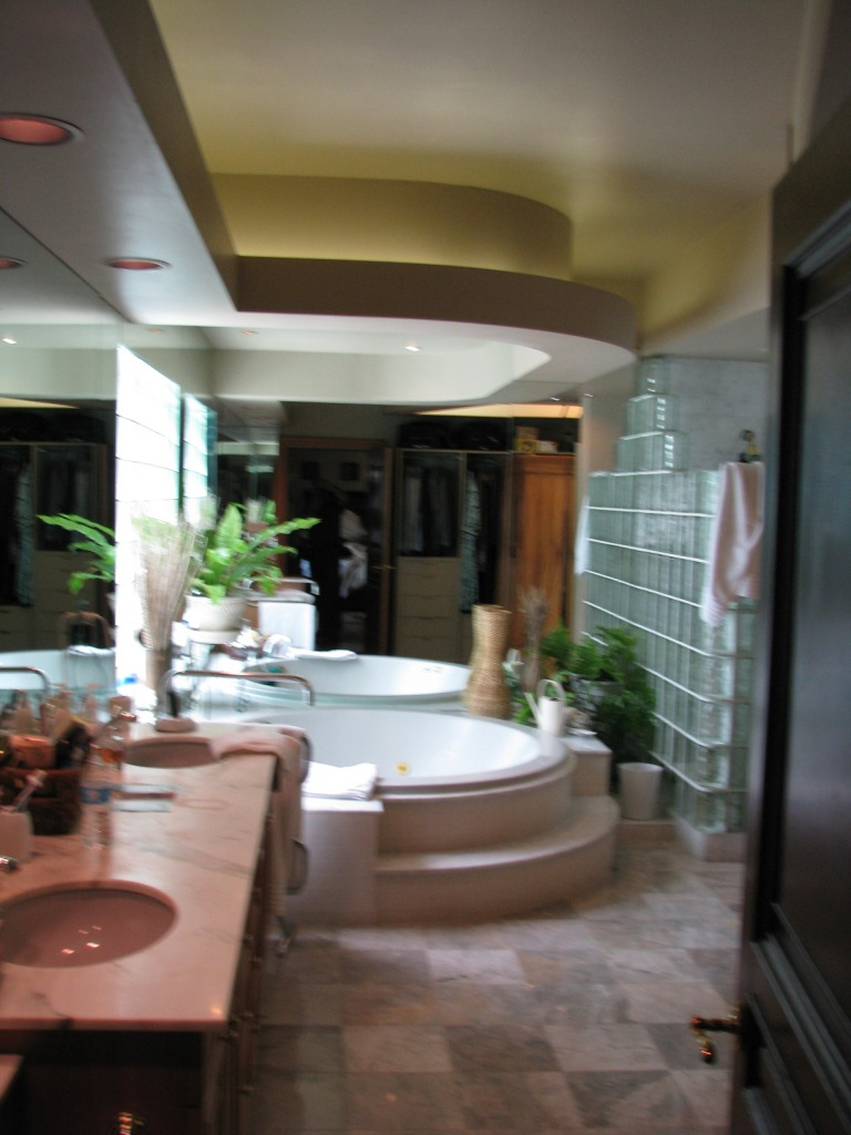 Bathroom before renovation with a glass-block shower, built-in tub, mirrored surfaces, and dropped soffits